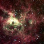 NASA Photo of Tarantula (Doradus) Nebula
