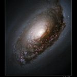 Photo of Black Eye Galaxy (Messier 64)